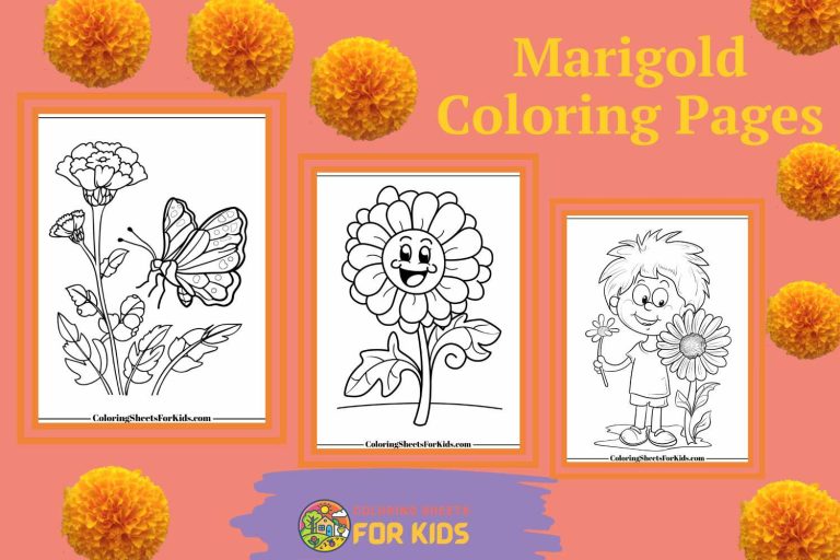 Marigold Coloring Pages