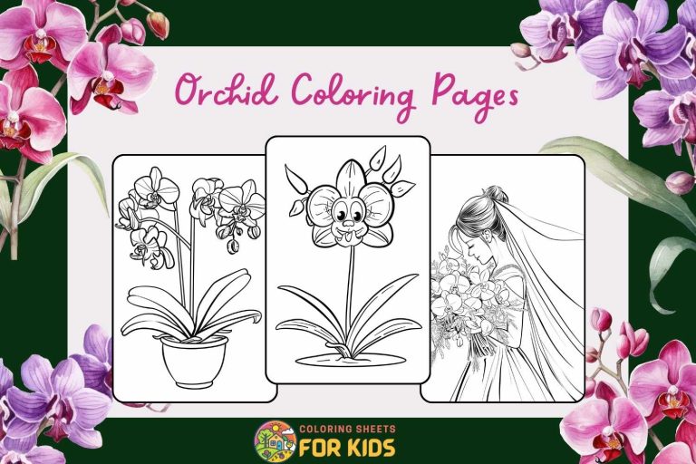 Orchid Coloring Pages