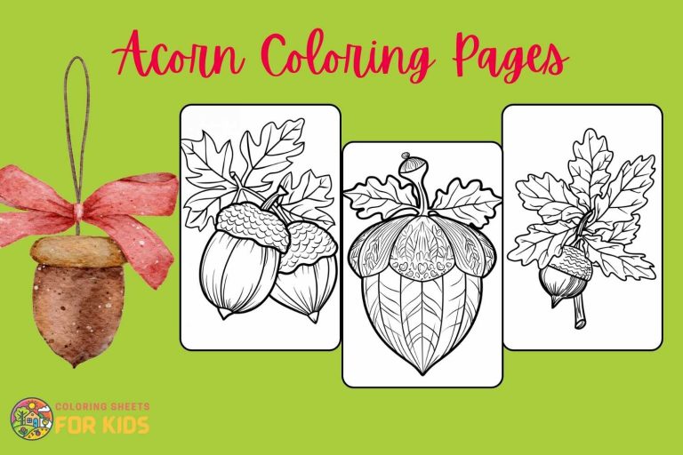 Acorn Coloring Pages