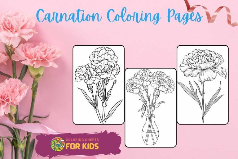 Carnation Coloring Pages