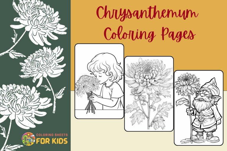 Chrysanthemum Coloring Pages