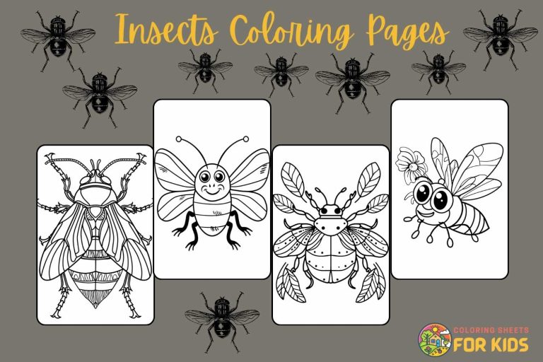 Insects Coloring Pages