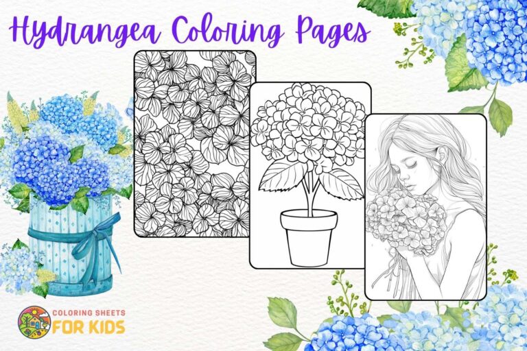 Hydrangea Coloring Pages