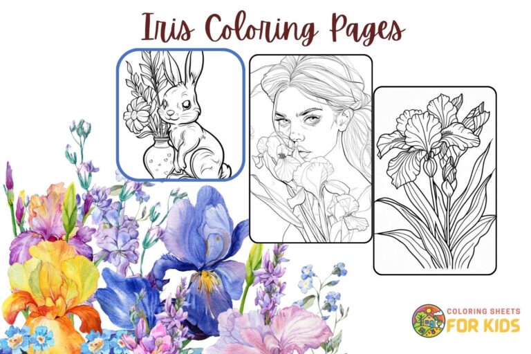 Iris Coloring Pages