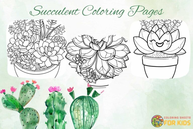 Succulent Coloring Pages