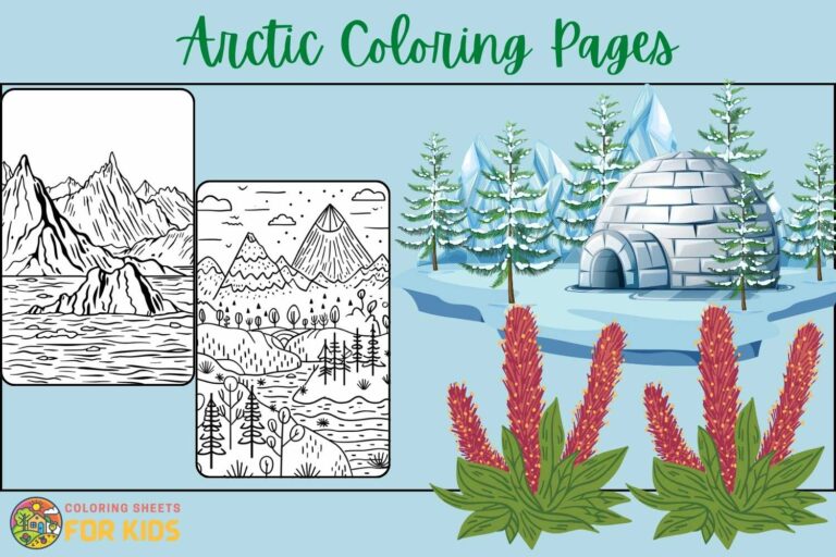 Arctic Coloring Pages