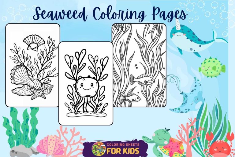 Seaweed Coloring Pages