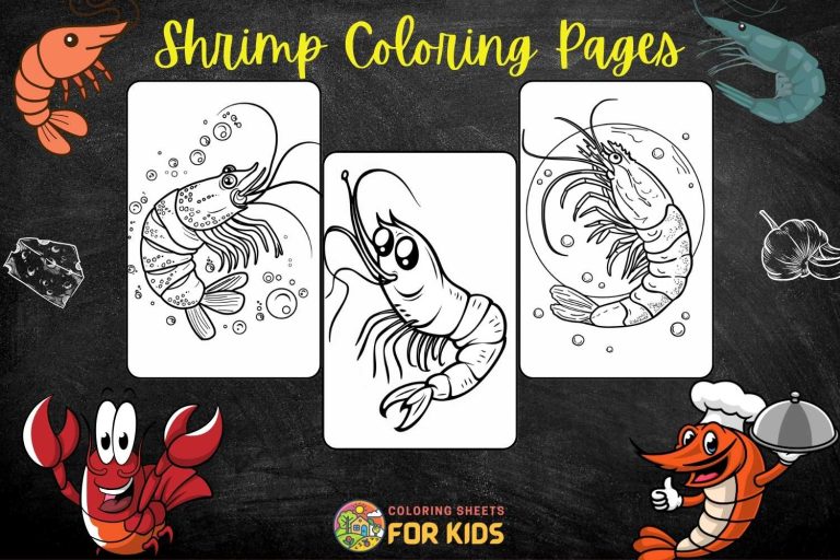 Shrimp Coloring Pages
