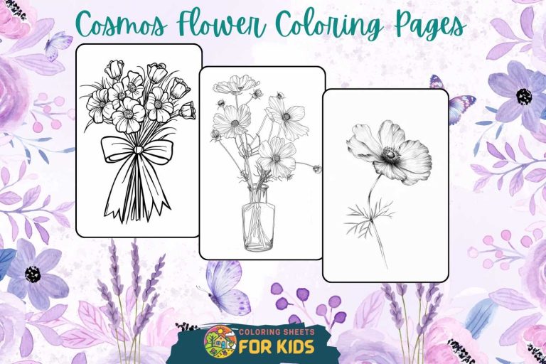 Cosmos Flower Coloring Pages