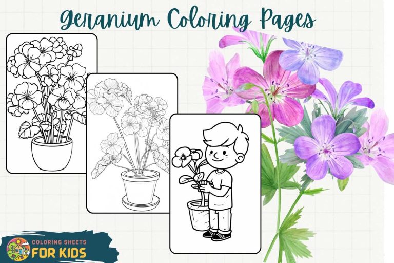 Geranium Coloring Pages