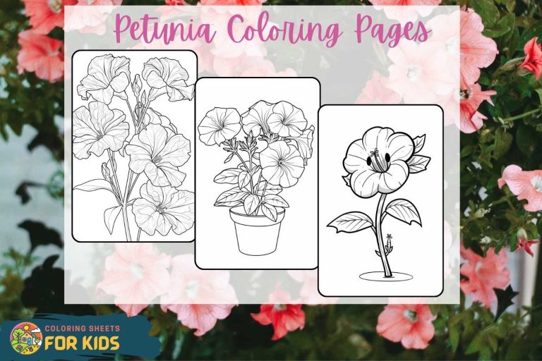 Petunia Coloring Pages